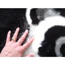 Walk On Me Faux Fur Super Soft Kids Panda Bear Rug Tufted With Non-slip Backing Area Rug -Professional Childrens Furniture Store GUEST 121d6a53 8c22 47a5 b81d 41e68381e45a