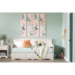 Twin Summer Breeze Daybed With Storage White Wash - South Shore